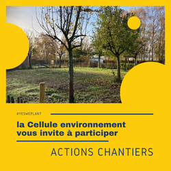 Chantier participatif pour la plantation d'arbres à Mouscron - 12 décembre 2021