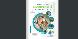 Rapport Biodiversité 2023 - étude de la faune et la flore à Mouscron