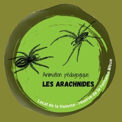 Animation Arachnides