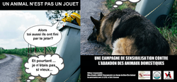 Présentation de la campagne anti-abandon des animaux domestiques en période de vacances 2021